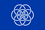 International flag